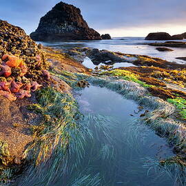 Seal Rock State Recreation Site, Or by Roland Gerth