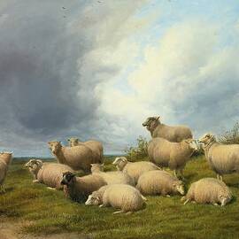 Sheep In A Pasture by Thomas Sidney Cooper