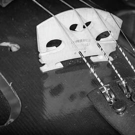 Strings Series 33 by David Morefield