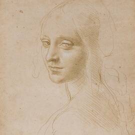 Study For The Angel Of The Virgin Of The Rocks by Leonardo Da Vinci