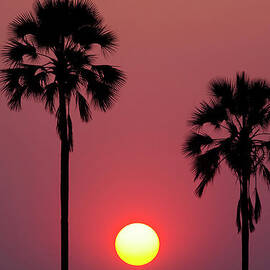 Sunset, Botswana by Mint Images/ Art Wolfe