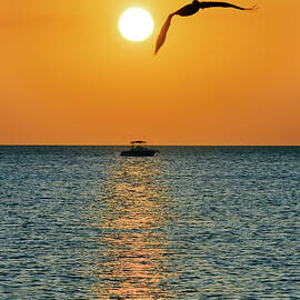 Sunset, Naples, Florida by Gabriel Jaime Jimenez