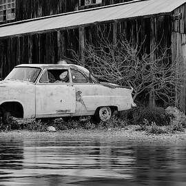 Texaco Gas Sign by Susan Candelario