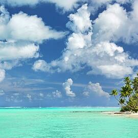 Tropical Beach In Bora Bora by Reinhard Schmid