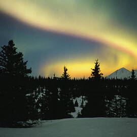 Usa, Alaska, Denali National Park by Johnny Johnson