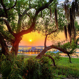 Usa, South Carolina, Hilton Head by Werner Bertsch
