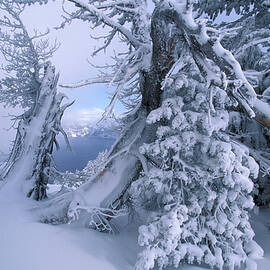 Winter Landscape, Crater Lake Np, Or by Heeb Photos
