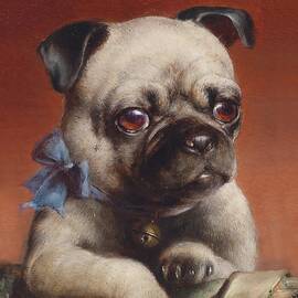 Young Pug by Carl Reichert
