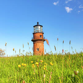 Lighthouse, Martha's Vineyard Ma by Claudia Uripos