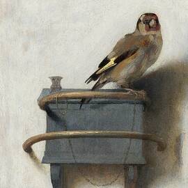 The Goldfinch by Carel Fabritius