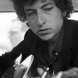 Bob Dylan At Newport by The Estate Of David Gahr