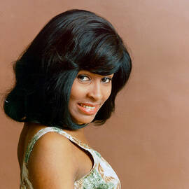 Tina Turner Portrait Session by Michael Ochs Archives
