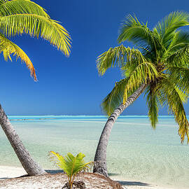 Tropical Beach by Reinhard Schmid