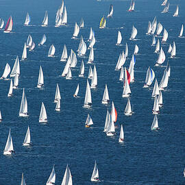 Barcolana Regatta, Italy by Andrea Pavan