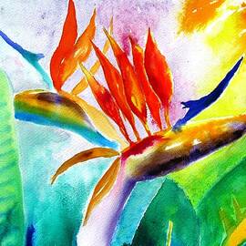 Bird of Paradise by Carlin Blahnik CarlinArtWatercolor