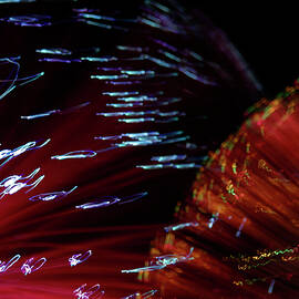 Coloured lights and motion blur abstract by Seeables Visual Arts