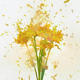 Exploding Flowers by Don Farrall