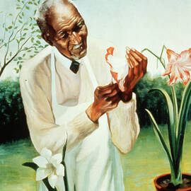 George Washington Carver by Bettmann