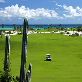 Golf Course, Dominican Republic by Hp Huber