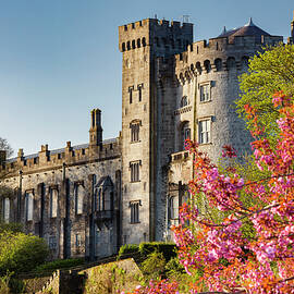 Ireland, Kilkenny, Kilkenny Castle by Massimo Ripani