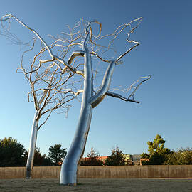 Modern Art Museum Of Fort Worth, Tx by Heeb Photos