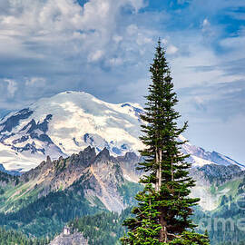 Mt. Rainier in summer by Bruce Block