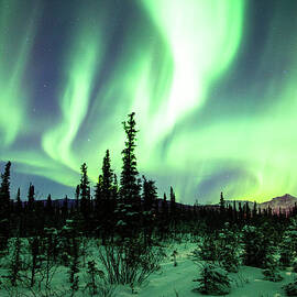 Northern Lights by Daniel A. Leifheit