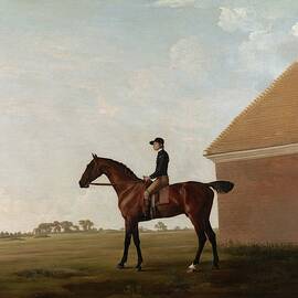 Turf, With Jockey Up, At Newmarket by George Stubbs