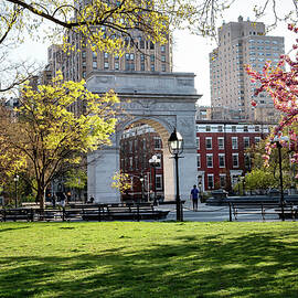 Washington Square Park, Nyc by Lumiere
