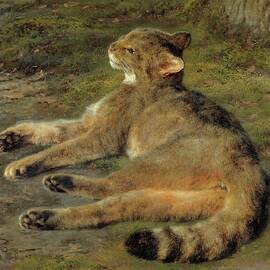 Wild Cat by Rosa Bonheur