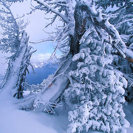 Winter Landscape, Crater Lake Np, Or by Heeb Photos