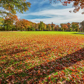 Autumn In Central Park, Manhattan by Claudia Uripos