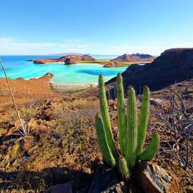 Blandra Beach, Sea Of Cortez, Mexico by Pietro Canali