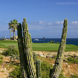 Golf Course, Los Cabos, Mexico by Hp Huber