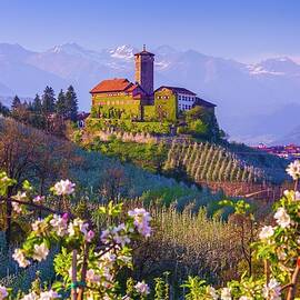 Italy, Trentino-alto Adige, Alps, Trento District, Trentino, Val Di Non, Tassullo, Castel Valer And Apple Trees In Spring by Olimpio Fantuz