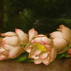 Lotus Flowers A Landscape Painting In The Background by Martin Johnson Heade