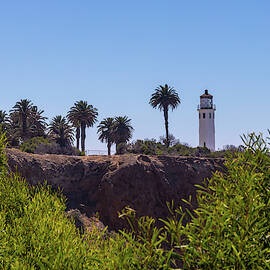 Point Vicente Lighthouse by Ed Clark