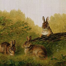 Rabbits On A Log by Arthur Fitzwilliam Tait
