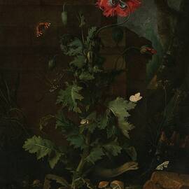 Still Life With Poppy, Insects, And Reptiles by Otto Marseus Van Schrieck