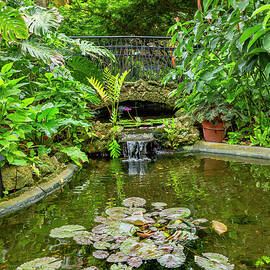 Sunken Gardens, St Petersburg, Fl by Lumiere