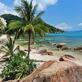 Thailand, Southern Thailand, Koh Samui by Reinhard Schmid