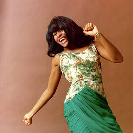 Tina Turner Portrait Session by Michael Ochs Archives