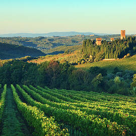 Tuscany, Chianti, Vineyards, Italy by Luigi Vaccarella