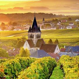Vineyards In Ville-dommange, France by Francesco Carovillano