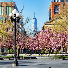 Washington Square Park, Nyc by Lumiere