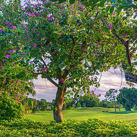 Golf Course by Laura Zeid
