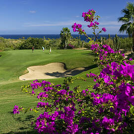 Golf Course, Los Cabos, Mexico by Hp Huber
