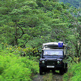 4x4, 4wd, Four-wheel Drive Tour Of The Island, Tahiti, French Polynesia, South Sea by Don Fuchs