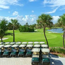 Golf Course by Laura Zeid