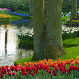 Spring Flowers In A Park by Jacobh